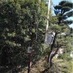 滋賀県で支柱と袖看板撤去