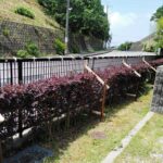 大阪府河内長野市末広町<br />くすのき幼稚園様　横断幕<br />2025.6.4